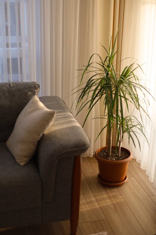 Tips for Creating a Cozy and Inviting Home Environment